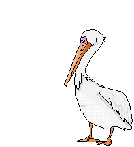 pelicano13.gif