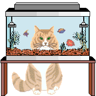 Acuario01.gif