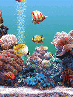 Acuario04.gif