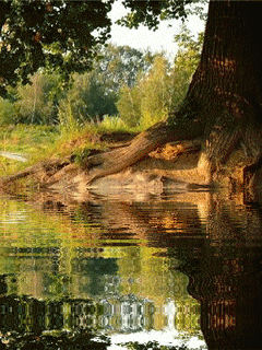 Lago-03.gif