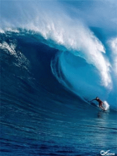 Mar-01.gif