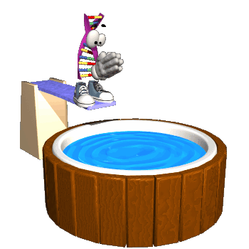 Piscina-07.gif