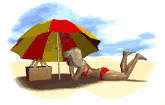 Playa-03.gif