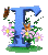 Flores06.gif