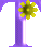 Flores-20.gif