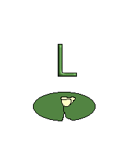 Ranas-12.gif