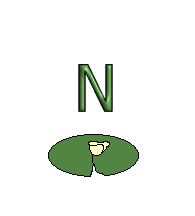 Ranas-14.gif