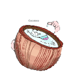 coco01.gif