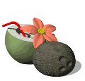 coco02.gif