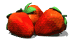 fresa02.gif