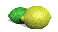 limon10.gif