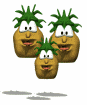 pinya05.gif