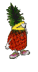 pinya06.gif
