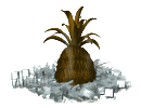 pinya07.gif