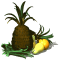 pinya08.gif