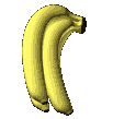 platano02.gif