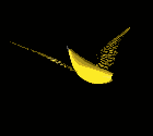 platano16.gif