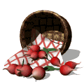 rabano01.gif