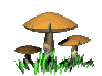 seta01.gif