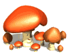 seta06.gif