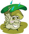 seta22.gif