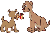 amor-animal17.gif