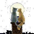 amor-animal33.gif
