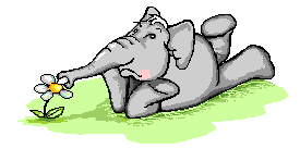amor-animal37.gif