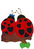 amor-animal47.gif
