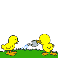 amor-animal48.gif