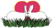 amor-animal70.gif