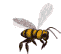 abeja03.gif