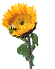 abeja13.gif