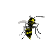 abeja32.gif