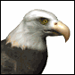 aguila07.gif