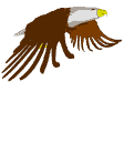 aguila09.gif