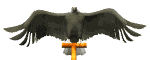 aguila16.gif
