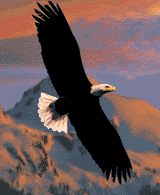 aguila38.gif
