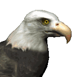 aguila40.gif