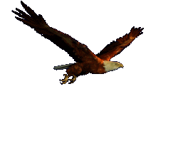 aguila54.gif