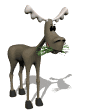 alce01.gif