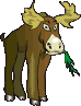 alce10.gif