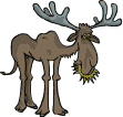alce11.gif