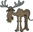 alce19.gif