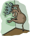 alce30.gif
