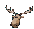 alce34.gif