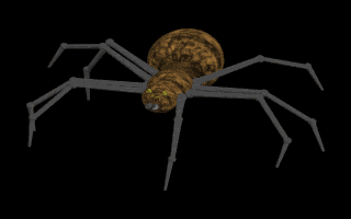 arana11.gif