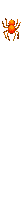 arana25.gif