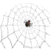 arana32.gif