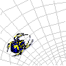 arana36.gif